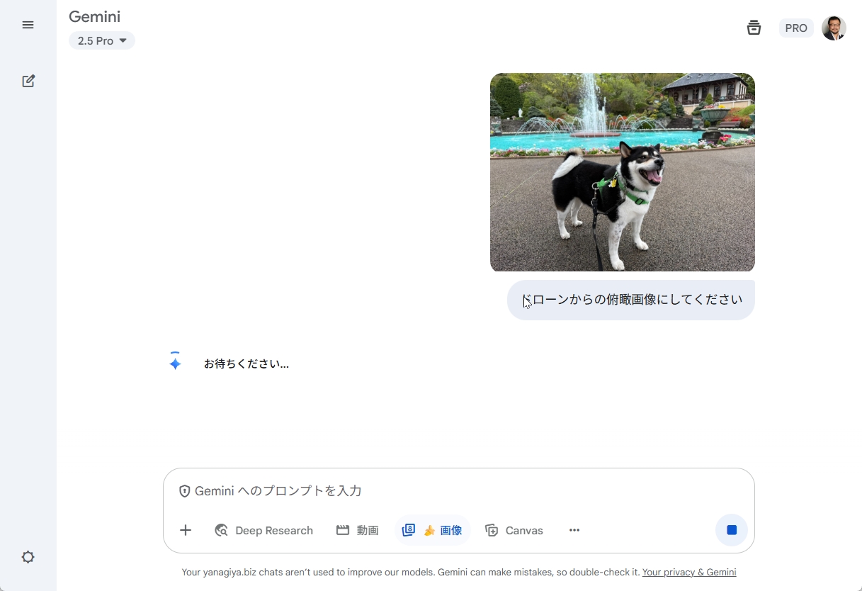 アップロードされた犬の写真と俯瞰画像への指示
