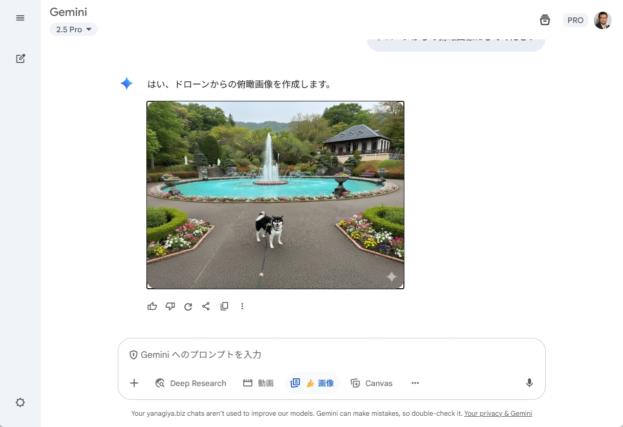 俯瞰アングルに変更された犬の画像